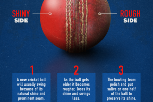 cricket-ball-seo-final