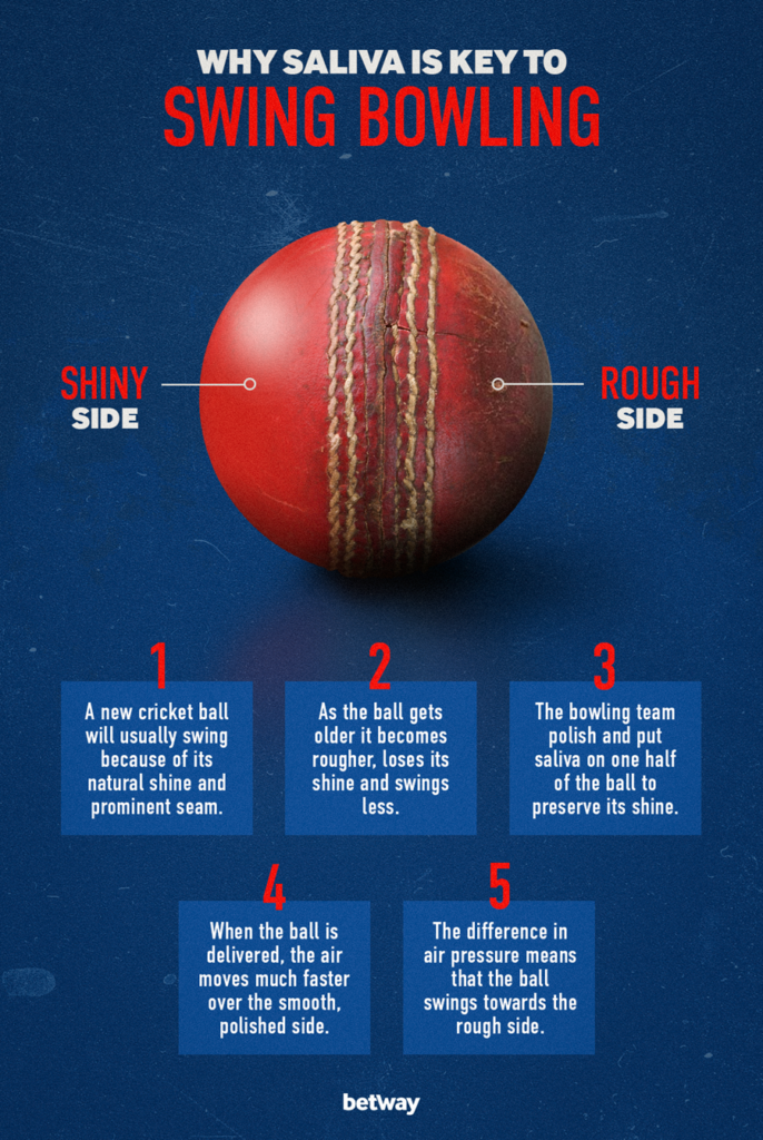 cricket-ball-seo-final